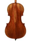 STC17CE78 Scott Cao Student cello 7/8, antique varnish