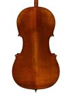 STC17E Scott Cao Conservatory cello 4/4, European maple and spruce, antique varnish