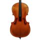 STC750-78 Scott Cao Conservatory cello 7/8, selected spruce and well flamed maple, antique varnish, Stainer model