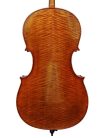 STC750-78 Scott Cao Conservatory cello 7/8, selected spruce and well flamed maple, antique varnish, Stainer model