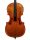 STC750-STA Scott Cao Conservatory cello 4/4, selected spruce and well flamed maple, antique varnish, Stainer model