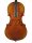 STC750ES-PG Scott Cao Conservatory cello 4/4, selected spruce and well flamed maple, antique spirit varnish, Pietro Guarneri model