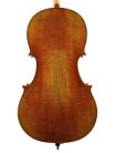 STC750ES-PG Scott Cao Conservatory cello 4/4, selected spruce and well flamed maple, antique spirit varnish, Pietro Guarneri model