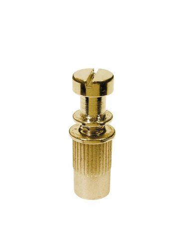 SU-100-G Boston  tailpiece studs, 2-pack, gold