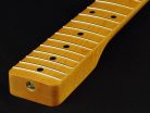 TMNFC Allparts  neck for Telecaster®, maple fretboard, 10", 21 tall frets, vintage tinted nitrocellulose finish