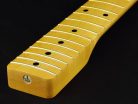 TMNFV Allparts  neck for Telecaster®, profile V, maple, 7,25", 21 frets, vintage tinted nitrocellulose finish