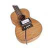 TR3-UKUL ToneRite  ukulele play-in device, 220V