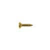 TS-01-G Boston  screw, 3x12mm, 12pcs, oval countersunk, tapping, for pickguard, gold