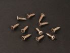 TS-01-N/REL Boston Master Relic Series screw, 3x12mm, 12pcs, oval countersunk, tapping, for pickguard, nickel relic