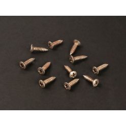   TS-01-N/REL Boston Master Relic Series screw, 3x12mm, 12pcs, oval countersunk, tapping, for pickguard, nickel relic