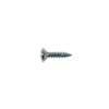 TS-01-N Boston  screw, 3x12mm, 12pcs, oval countersunk, tapping, for pickguard, nickel