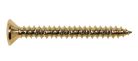 TS-03-G Boston  screw, 4x45mm, 12pcs, oval countersunk, tapping, for neck mount, gold