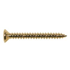   TS-03-G Boston  screw, 4x45mm, 12pcs, oval countersunk, tapping, for neck mount, gold