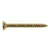 TS-03-G Boston  screw, 4x45mm, 12pcs, oval countersunk, tapping, for neck mount, gold