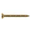 TS-04-G Boston  screw, 4,5x45mm, 12pcs, oval countersunk, tapping, for neck mount, gold