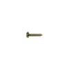 TS-14-M Boston  screw, 2,2x6,5mm, 12pcs, dome head, tapping, for trussrod cover and tuners short, brass