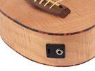 UKBB-310-E Korala Performer Series bass ukulele, all flamed okoume top, guitar machine heads, tuner and EQ