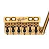 VT1/SG VegaTrem  ultra tremolo system standard, gold stainless steel