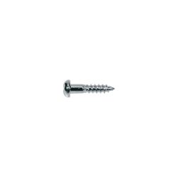 WS-02-C Boston  screw, 2,1x10mm, 12pcs, dome head, chrome